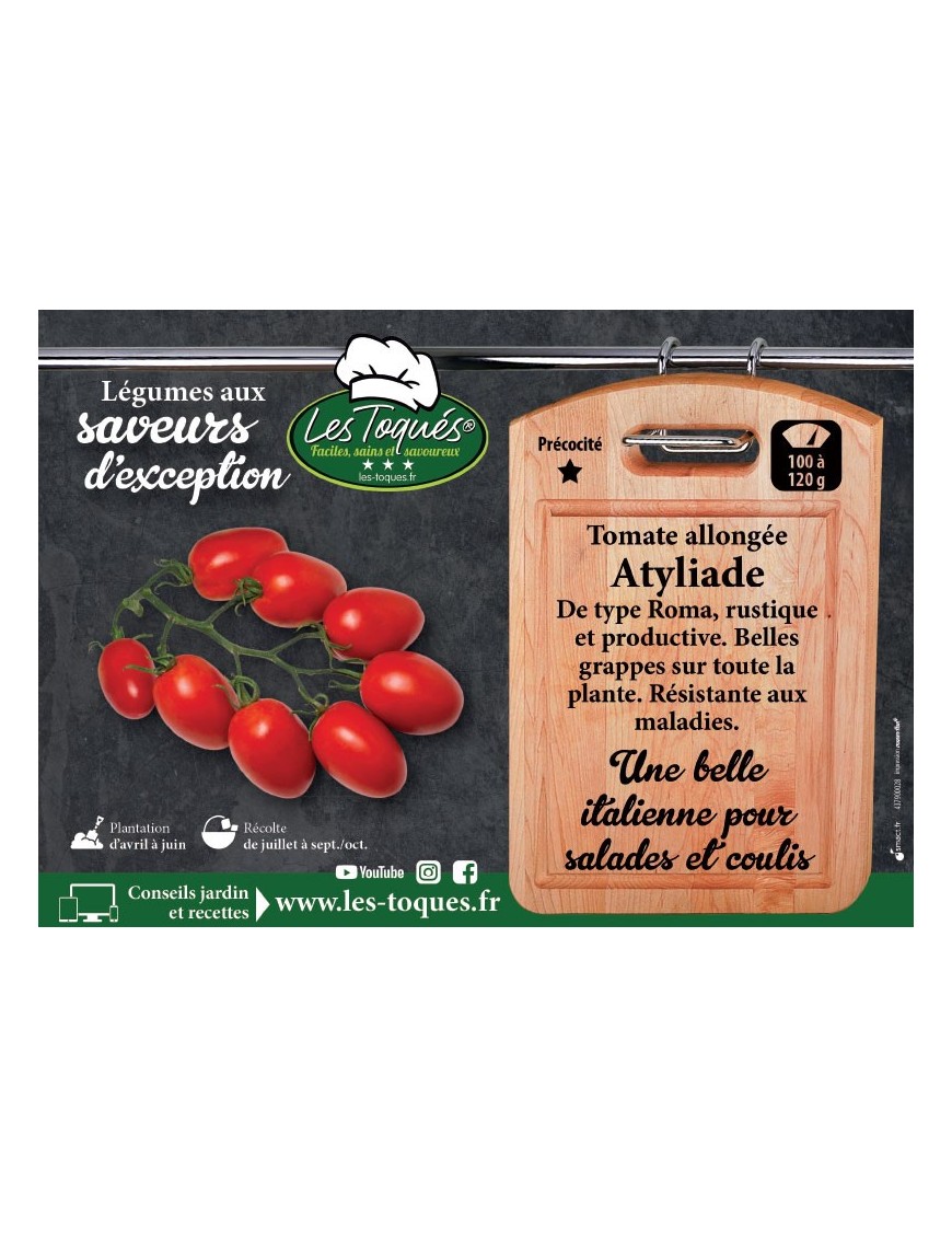 Tomate allongée Atyliade