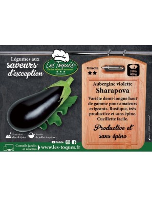 Aubergine violette Sharapova