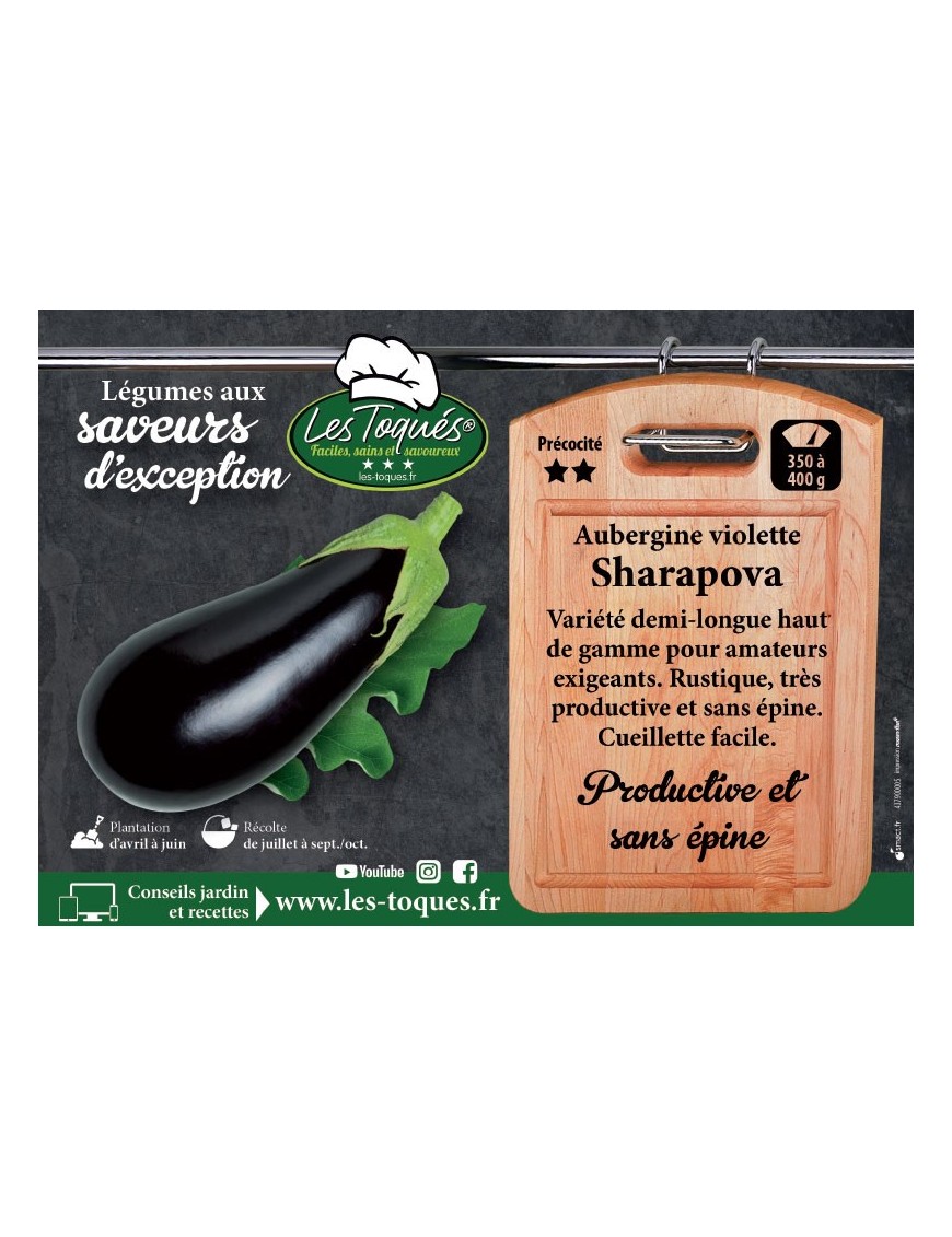 Aubergine violette Sharapova