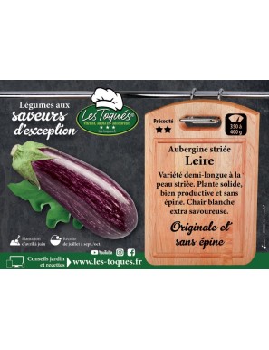 Aubergine striée Leire