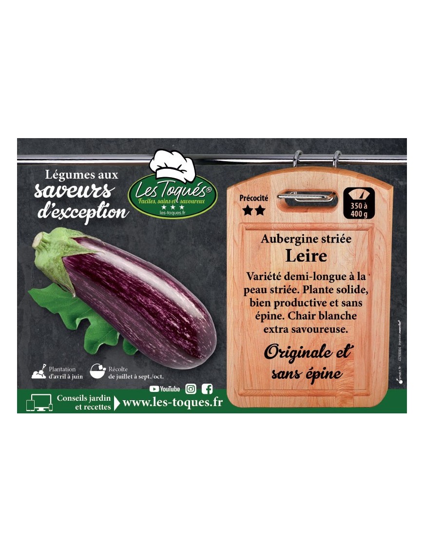 Aubergine striée Leire