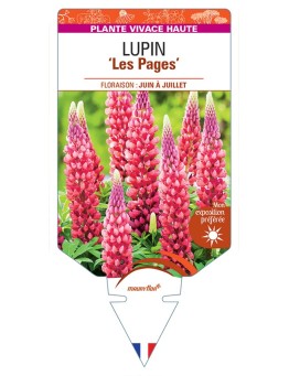 LUPINUS Les Pages