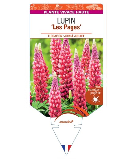 LUPINUS Les Pages
