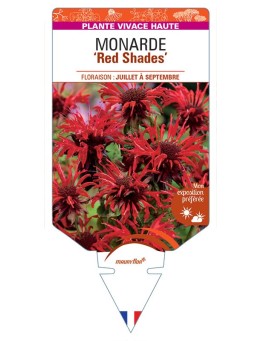 MONARDE Red Shades