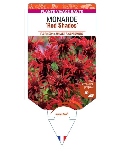 MONARDE Red Shades