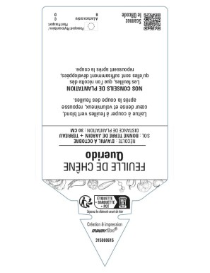 Feuille de Chêne Querido (Laitue)