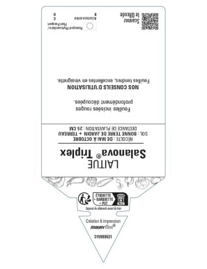 Laitue Salanova® Triplex