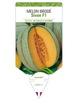 Melon brodé Sivan F1