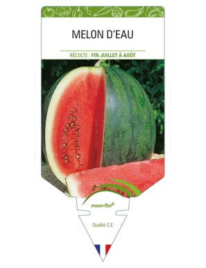 Melon d'Eau