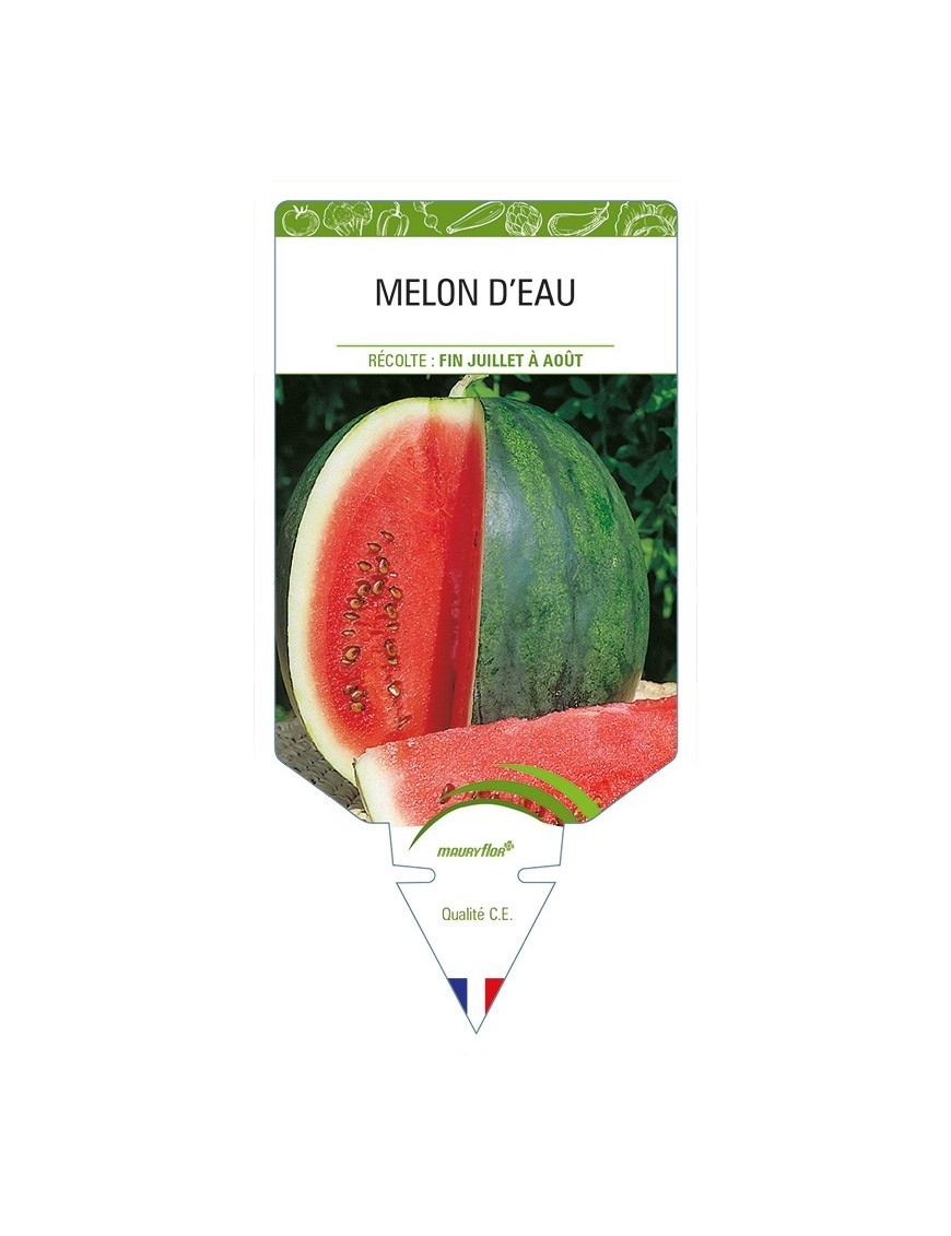 Melon d'Eau