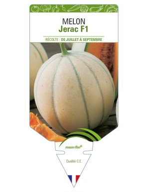 Melon Jerac F1