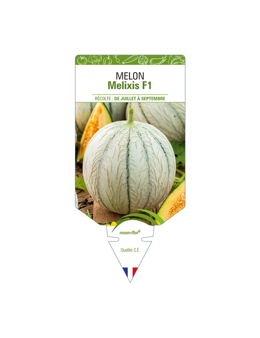 Melon Melixis F1