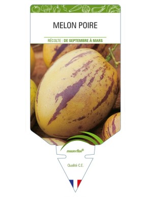 Melon Poire