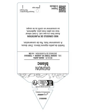 Oignon BLANC