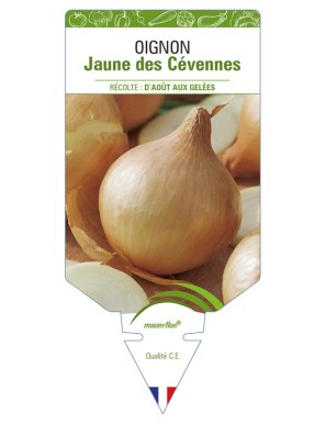 Oignon Jaune des Cévennes