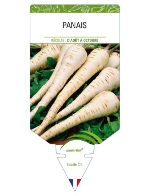 Panais
