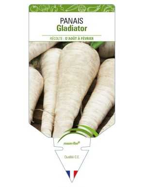 Panais Gladiator