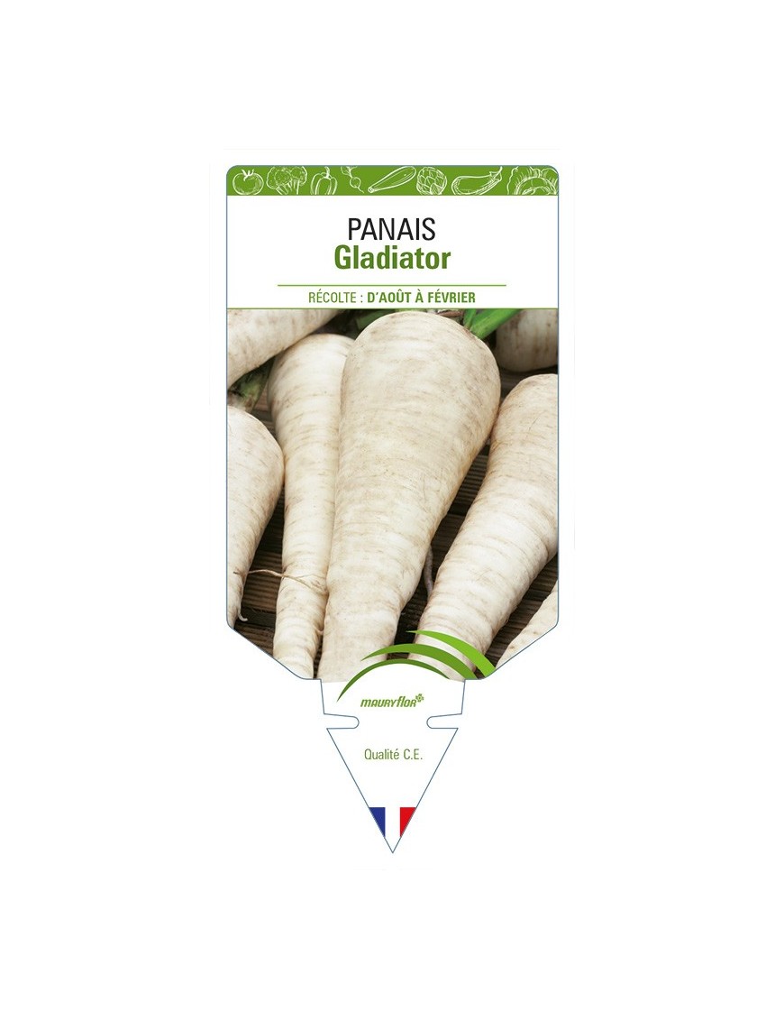 Panais Gladiator