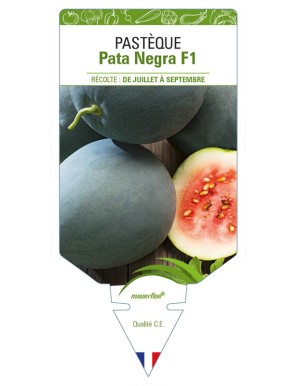 Pastèque Pata Negra F1