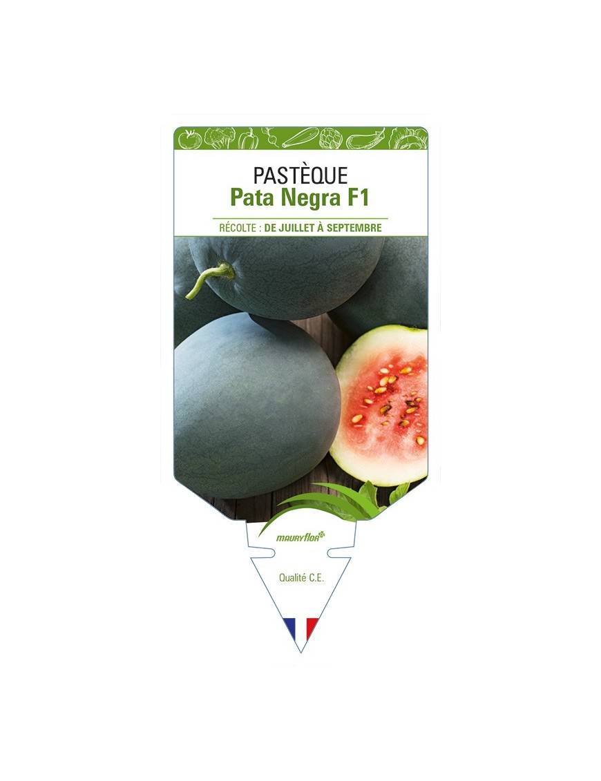 Pastèque Pata Negra F1