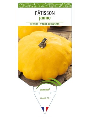 Pâtisson jaune