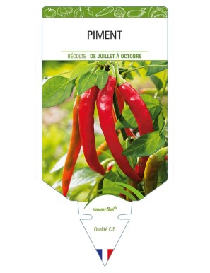 Piment