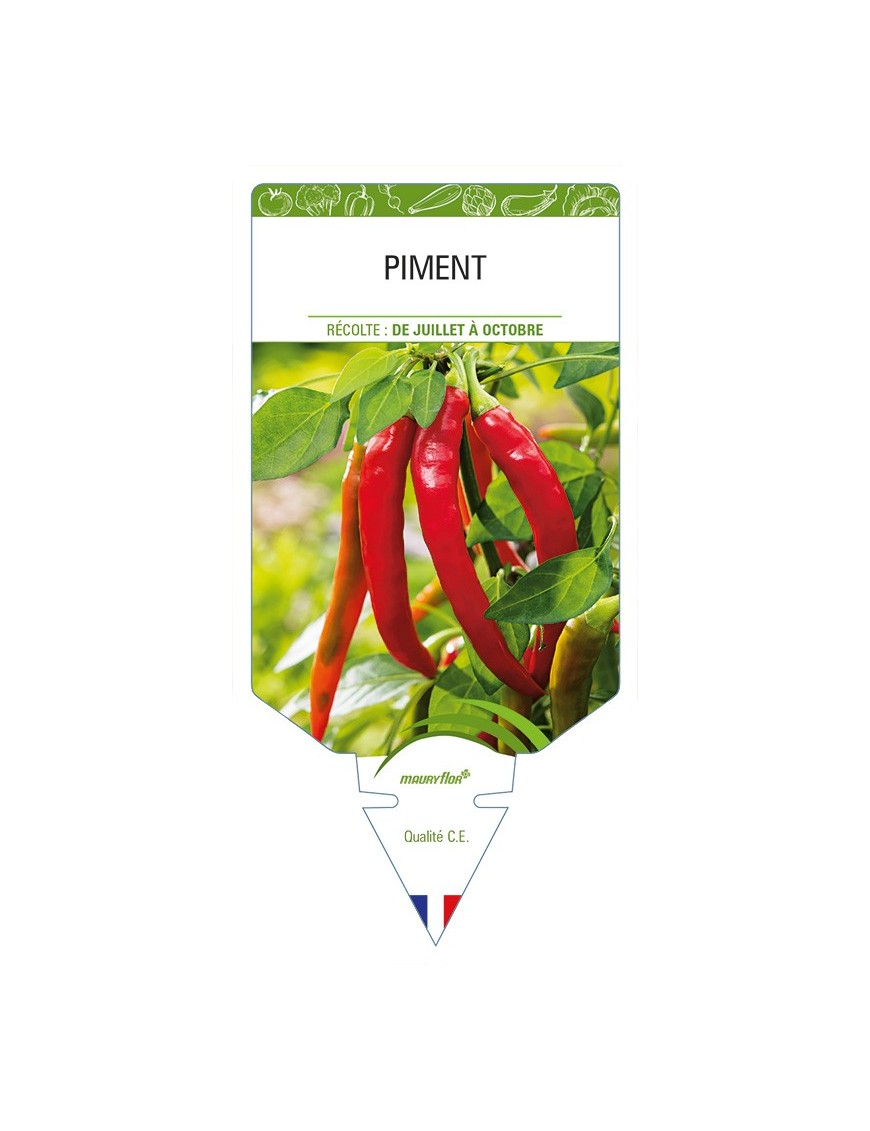 Piment