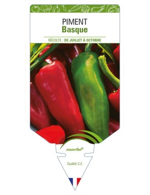 Piment basque