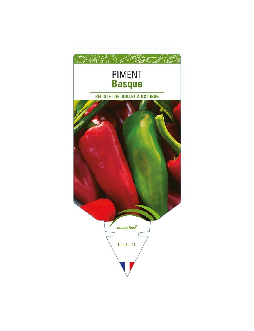 Piment basque