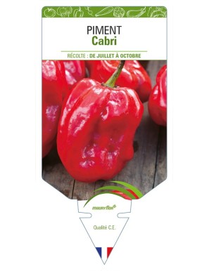 Piment Cabri