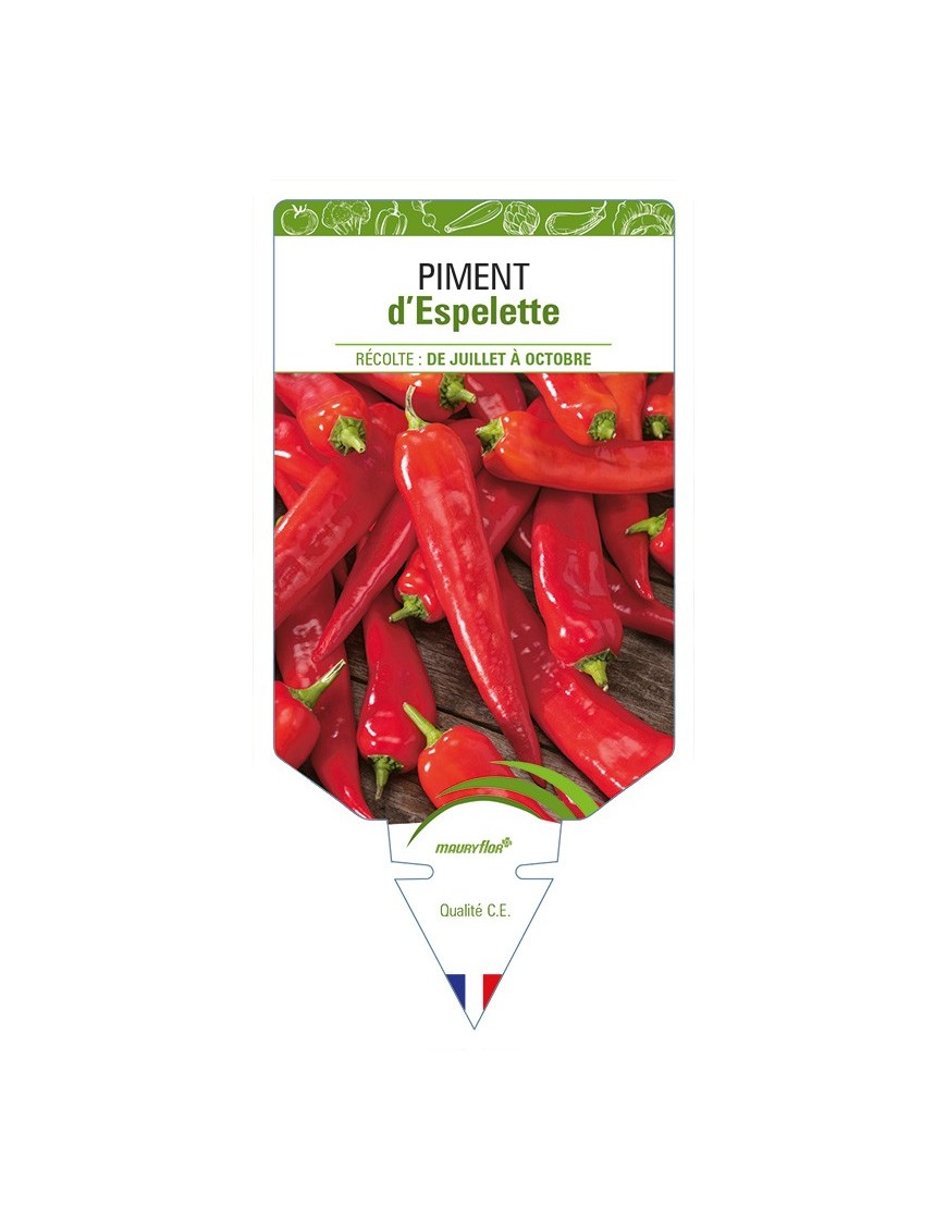 Piment d'Espelette
