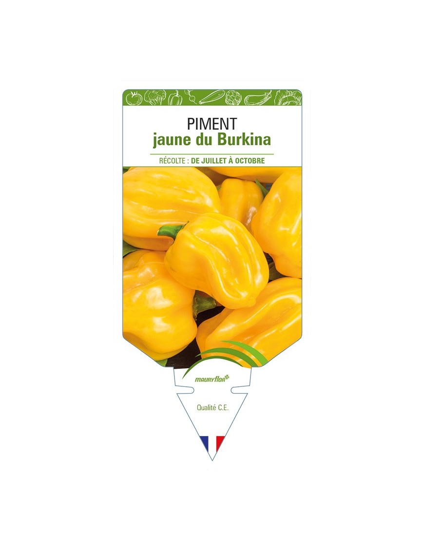 Piment jaune du Burkina