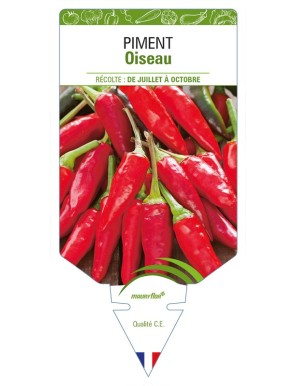 Piment Oiseau
