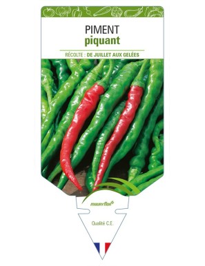 Piment piquant