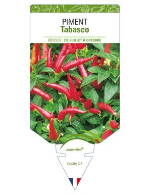 Piment Tabasco