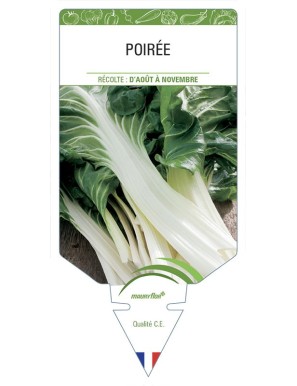 Poirée (Blette)