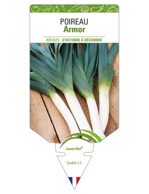 Poireau Armor