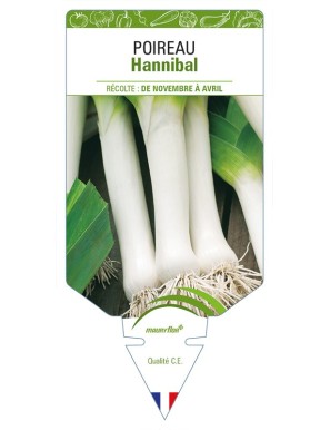 Poireau Hannibal