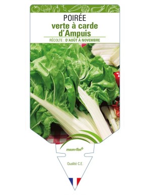 Poirée verte à carde d'Ampuis