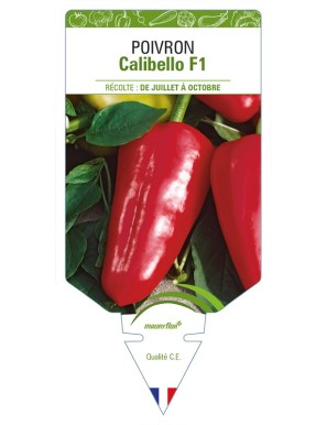 Poivron Calibello F1