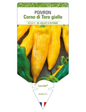 Poivron Corno di Toro giallo
