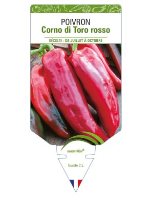 Poivron Corno di Toro Rosso