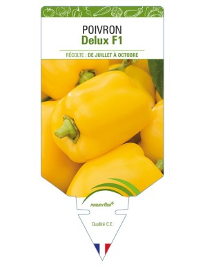 Poivron Delux F1