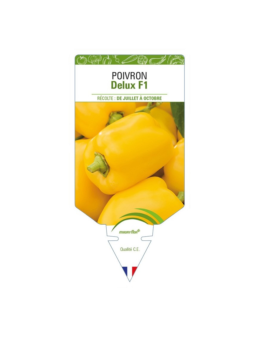 Poivron Delux F1