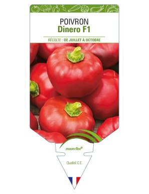 Poivron Dinero F1