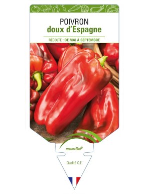 Poivron doux d'Espagne