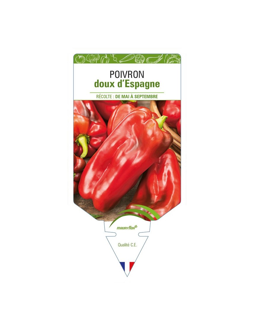 Poivron doux d'Espagne