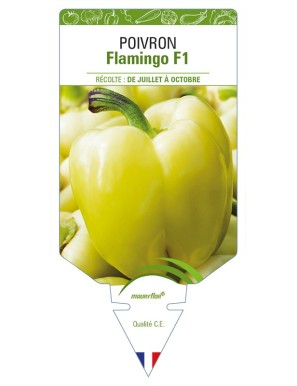 Poivron Flamingo F1