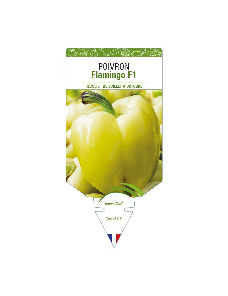 Poivron Flamingo F1