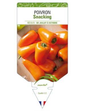 Poivron Snacking